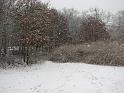 2008-12-07_First_Snow 071